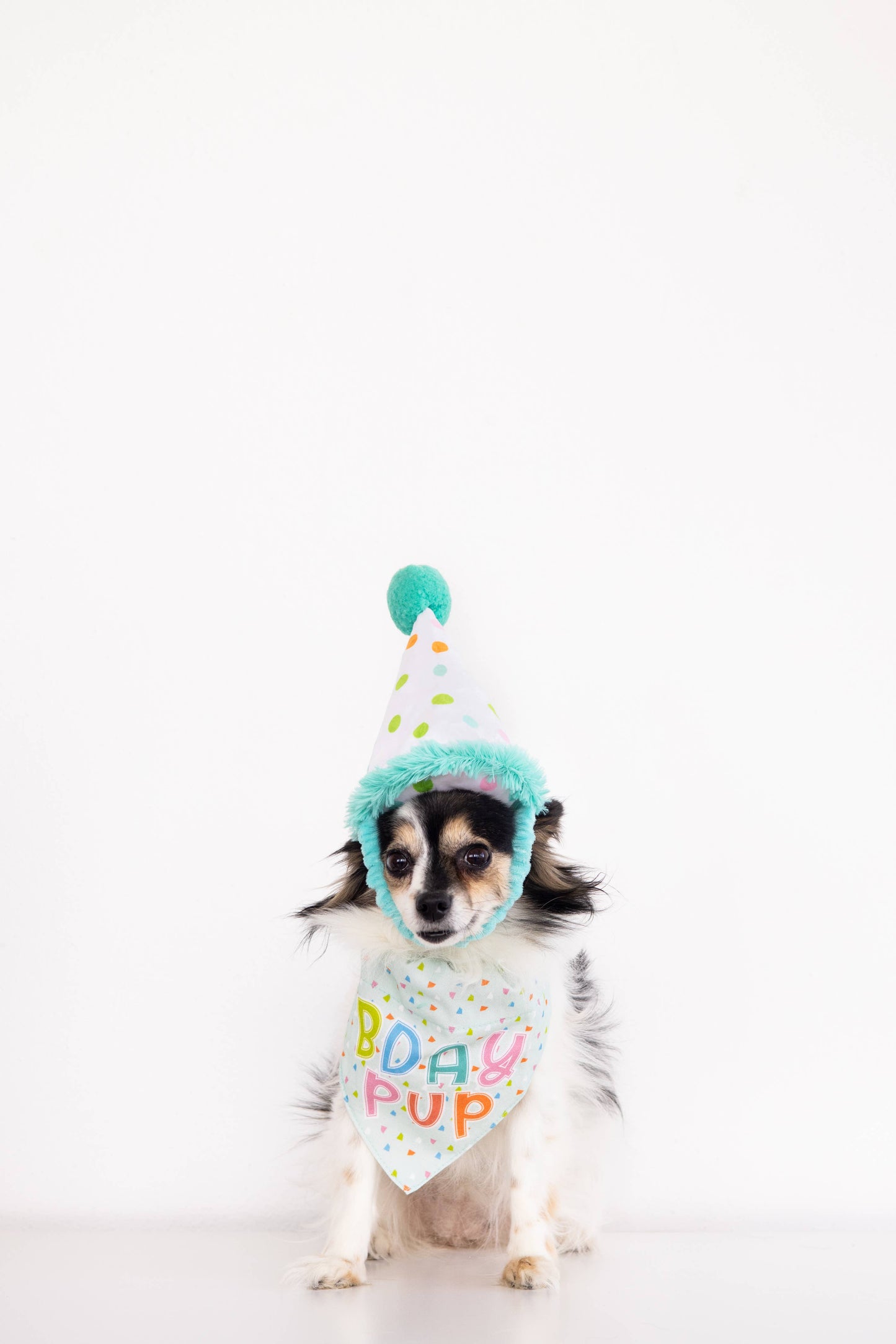 Birthday Pup S/M Bandana Hat Set