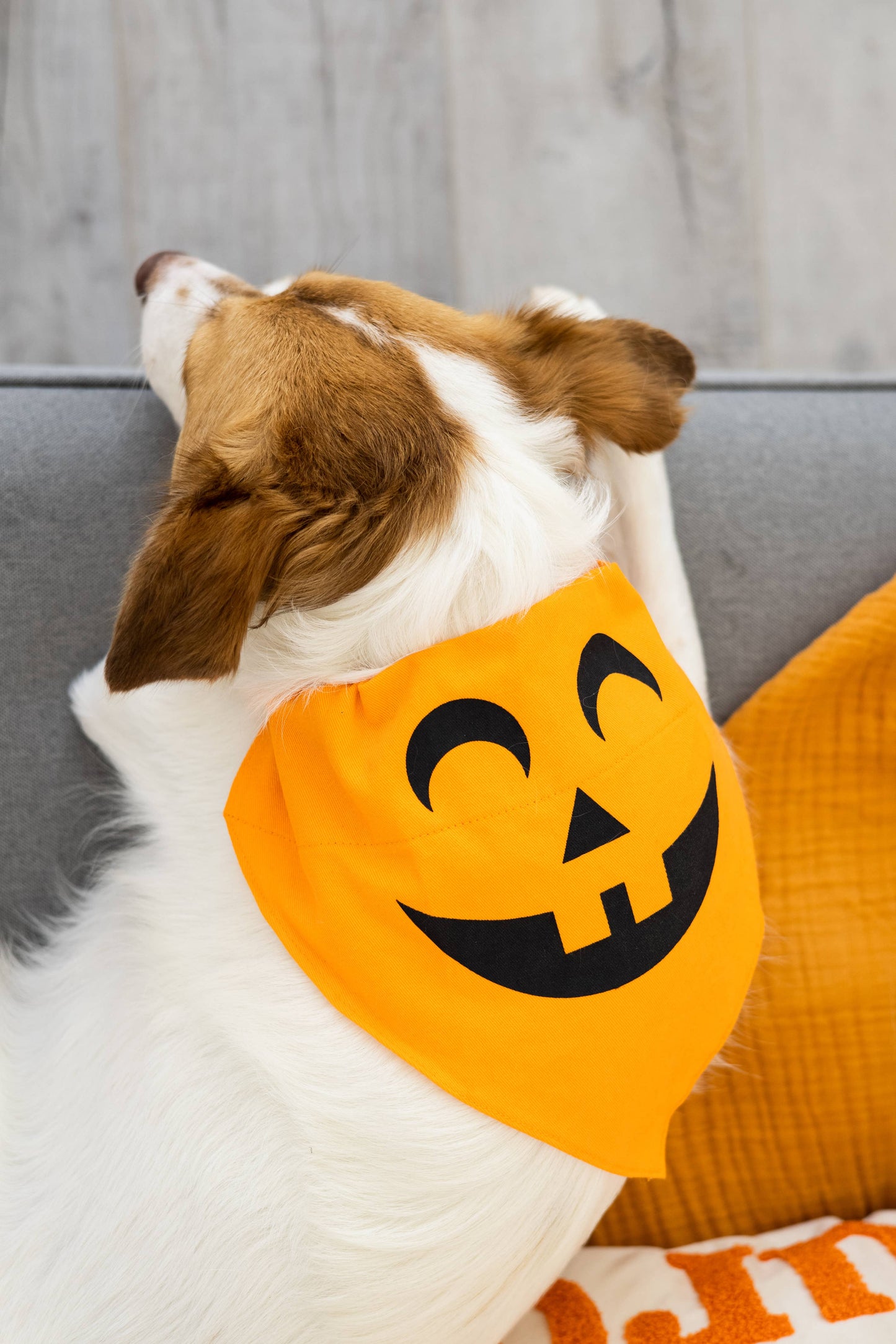 Pumpkin Dog Halloween Bandana, M/L