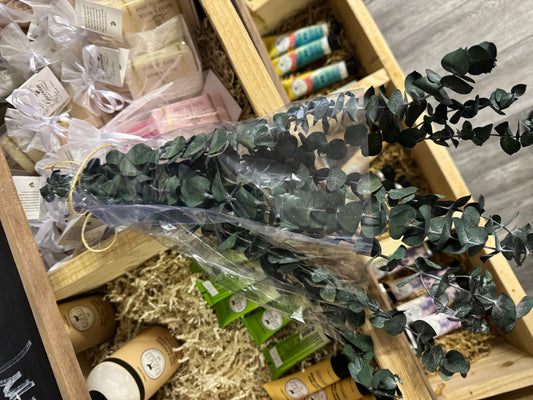 Euclyptus Shower Sprigs