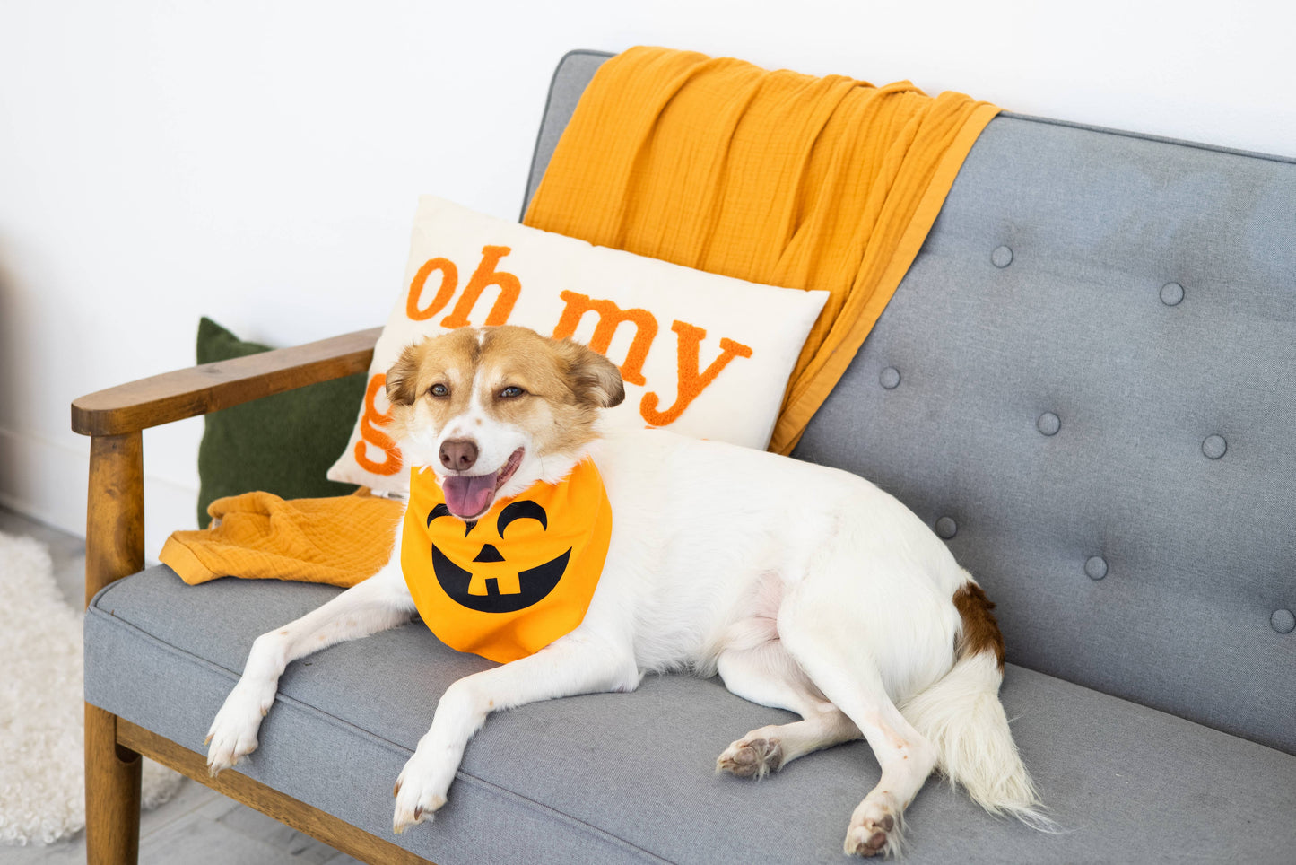 Pumpkin Dog Halloween Bandana, M/L